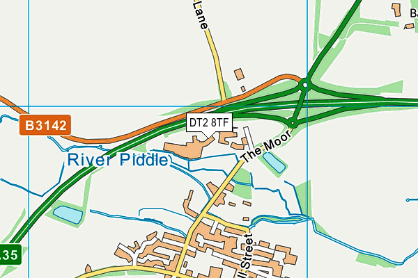 DT2 8TF map - OS VectorMap District (Ordnance Survey)