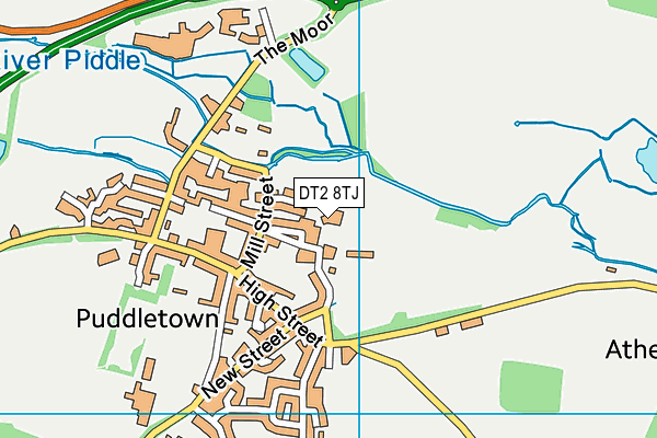 DT2 8TJ map - OS VectorMap District (Ordnance Survey)