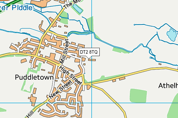 DT2 8TQ map - OS VectorMap District (Ordnance Survey)