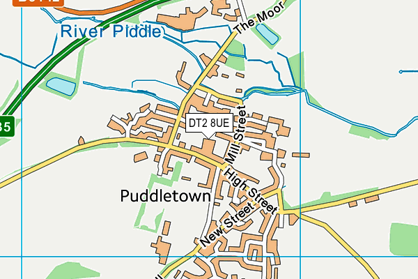 DT2 8UE map - OS VectorMap District (Ordnance Survey)