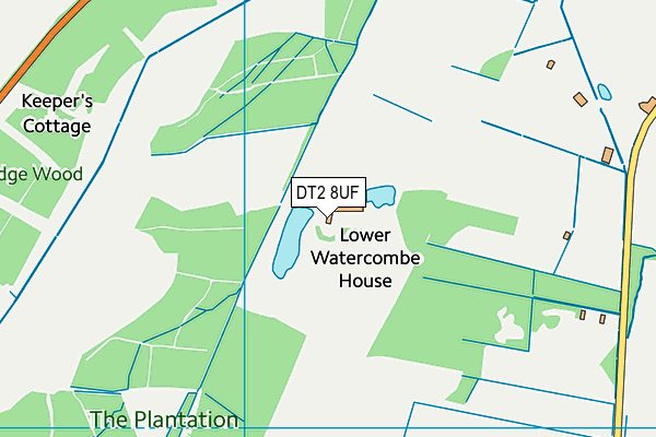 DT2 8UF map - OS VectorMap District (Ordnance Survey)