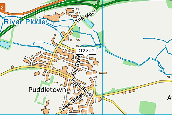 DT2 8UG map - OS VectorMap District (Ordnance Survey)