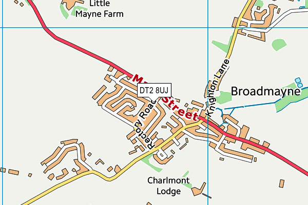 DT2 8UJ map - OS VectorMap District (Ordnance Survey)