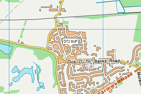 DT2 8UP map - OS VectorMap District (Ordnance Survey)