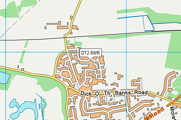 DT2 8WR map - OS VectorMap District (Ordnance Survey)