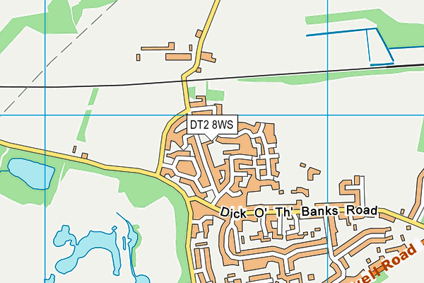DT2 8WS map - OS VectorMap District (Ordnance Survey)