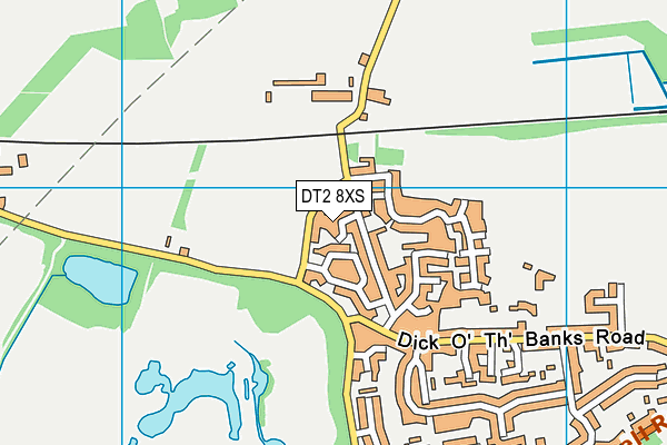 DT2 8XS map - OS VectorMap District (Ordnance Survey)