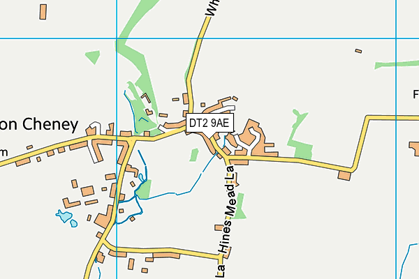 DT2 9AE map - OS VectorMap District (Ordnance Survey)