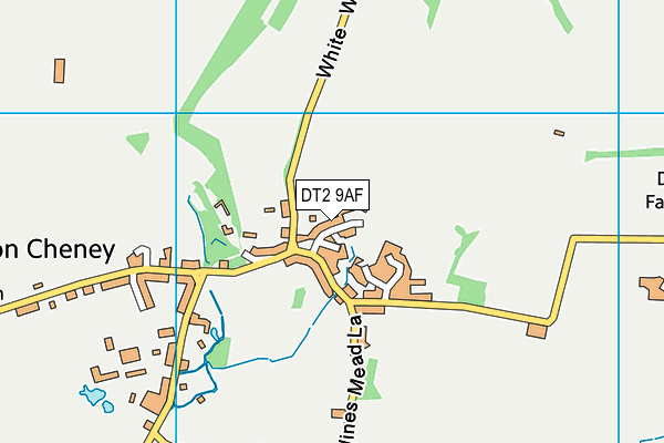 DT2 9AF map - OS VectorMap District (Ordnance Survey)