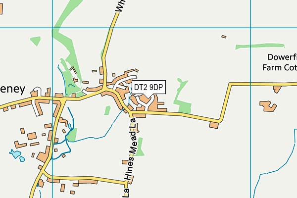 DT2 9DP map - OS VectorMap District (Ordnance Survey)