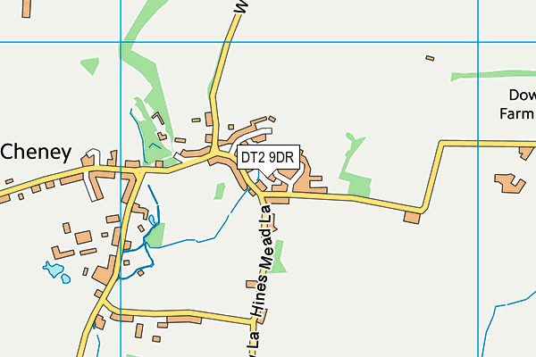DT2 9DR map - OS VectorMap District (Ordnance Survey)