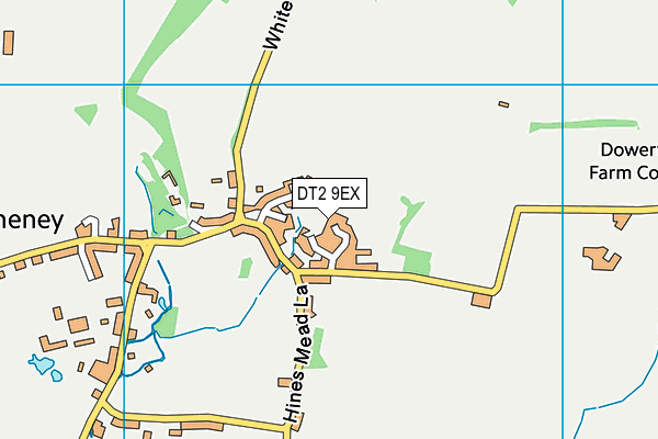 DT2 9EX map - OS VectorMap District (Ordnance Survey)