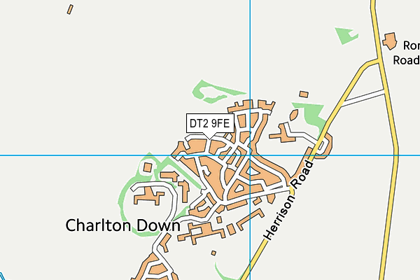DT2 9FE map - OS VectorMap District (Ordnance Survey)