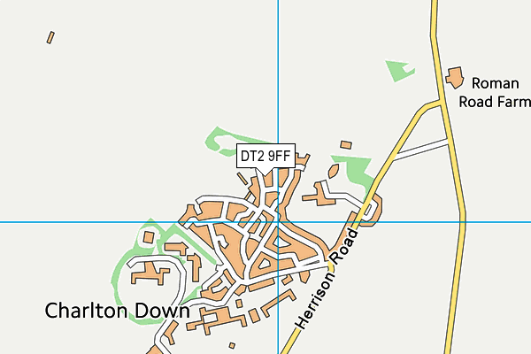 DT2 9FF map - OS VectorMap District (Ordnance Survey)