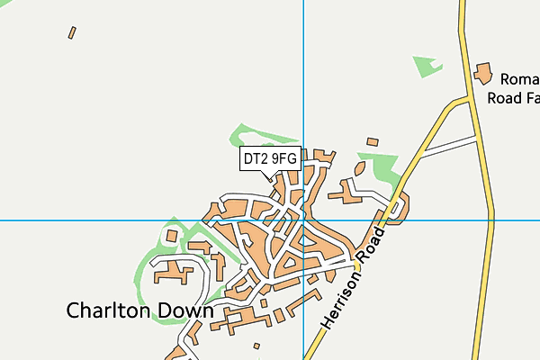 DT2 9FG map - OS VectorMap District (Ordnance Survey)