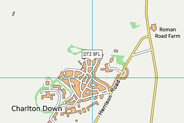 DT2 9FL map - OS VectorMap District (Ordnance Survey)