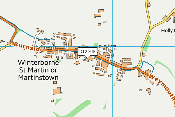 DT2 9JS map - OS VectorMap District (Ordnance Survey)