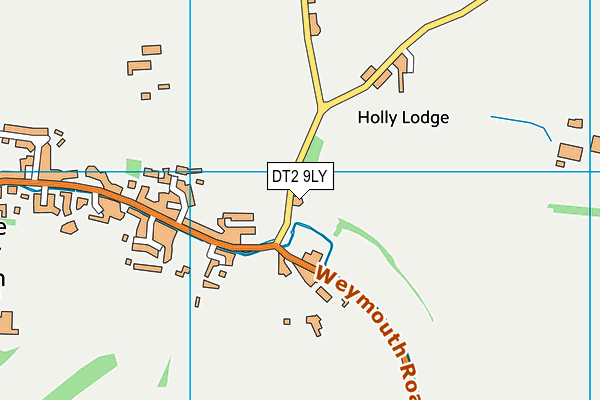 DT2 9LY map - OS VectorMap District (Ordnance Survey)