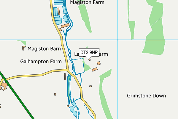 DT2 9NP map - OS VectorMap District (Ordnance Survey)