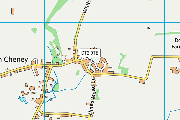 DT2 9TE map - OS VectorMap District (Ordnance Survey)