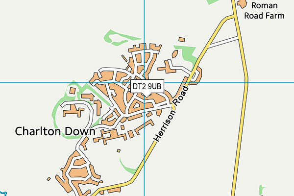 DT2 9UB map - OS VectorMap District (Ordnance Survey)