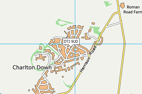 DT2 9UD map - OS VectorMap District (Ordnance Survey)