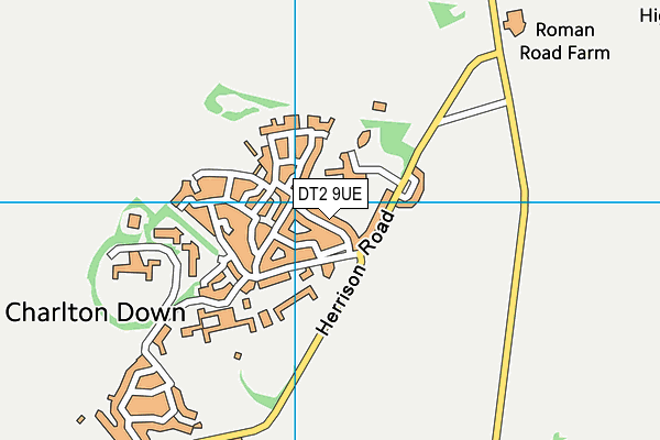 DT2 9UE map - OS VectorMap District (Ordnance Survey)