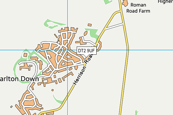 DT2 9UF map - OS VectorMap District (Ordnance Survey)