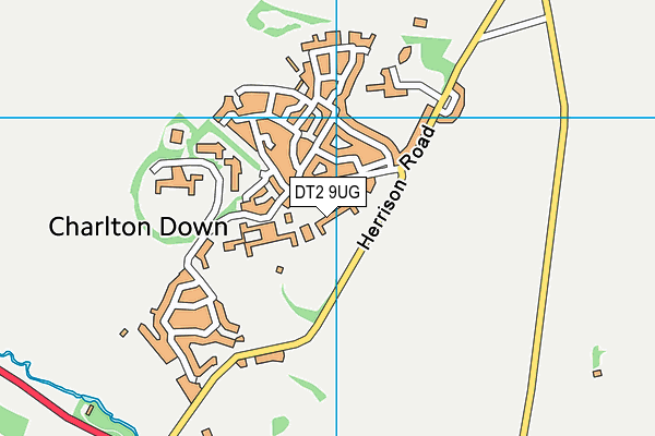 DT2 9UG map - OS VectorMap District (Ordnance Survey)