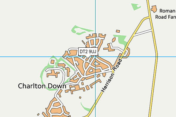 DT2 9UJ map - OS VectorMap District (Ordnance Survey)