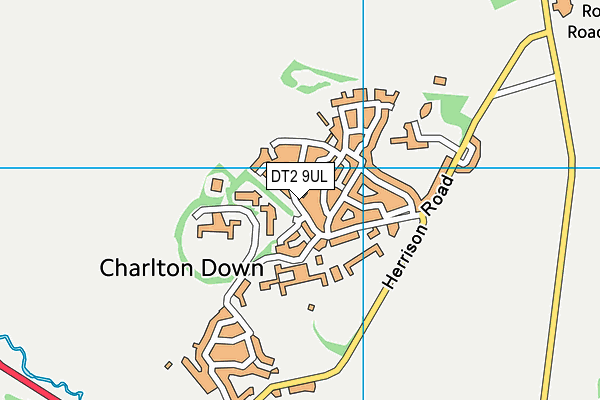 DT2 9UL map - OS VectorMap District (Ordnance Survey)
