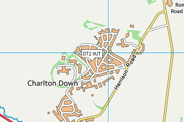 DT2 9UT map - OS VectorMap District (Ordnance Survey)