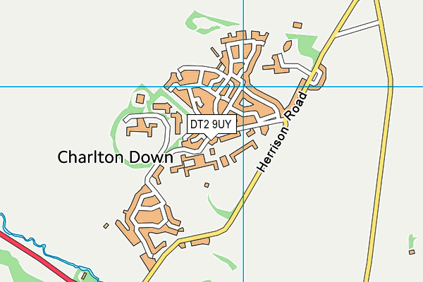 DT2 9UY map - OS VectorMap District (Ordnance Survey)