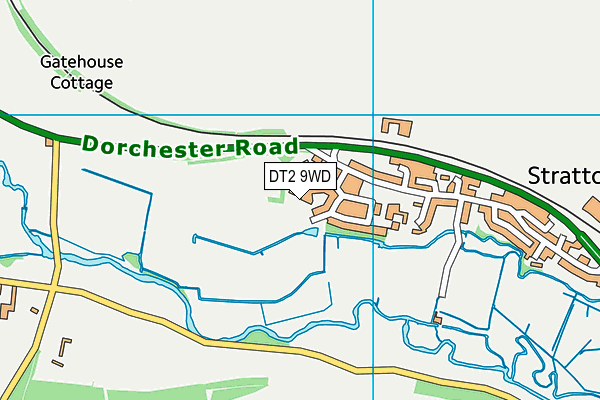 DT2 9WD map - OS VectorMap District (Ordnance Survey)