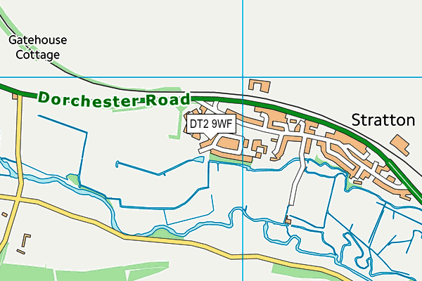 DT2 9WF map - OS VectorMap District (Ordnance Survey)