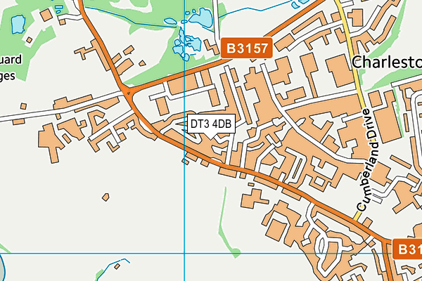 DT3 4DB map - OS VectorMap District (Ordnance Survey)