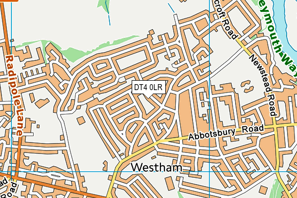 DT4 0LR map - OS VectorMap District (Ordnance Survey)