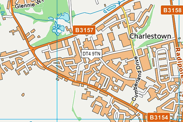 DT4 9TN map - OS VectorMap District (Ordnance Survey)