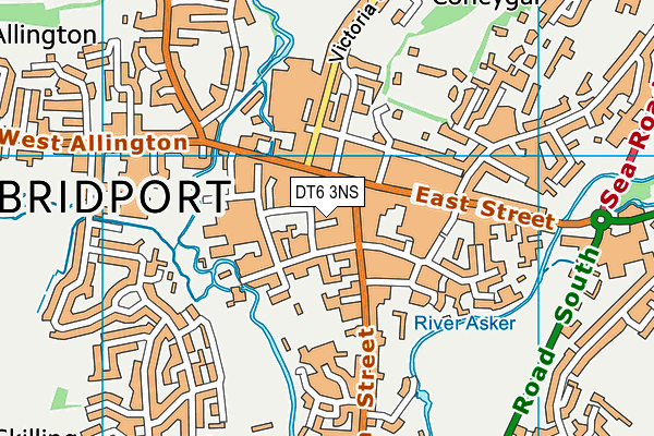 DT6 3NS map - OS VectorMap District (Ordnance Survey)