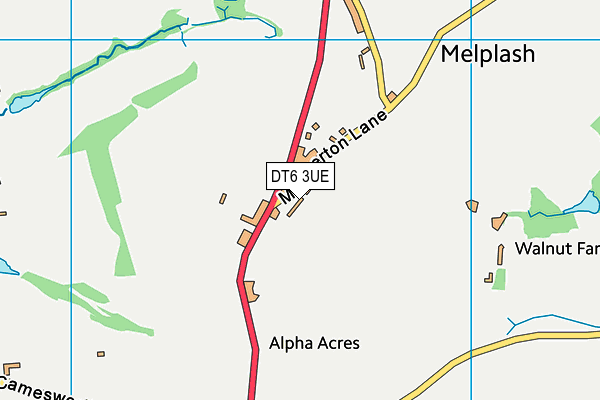 DT6 3UE map - OS VectorMap District (Ordnance Survey)