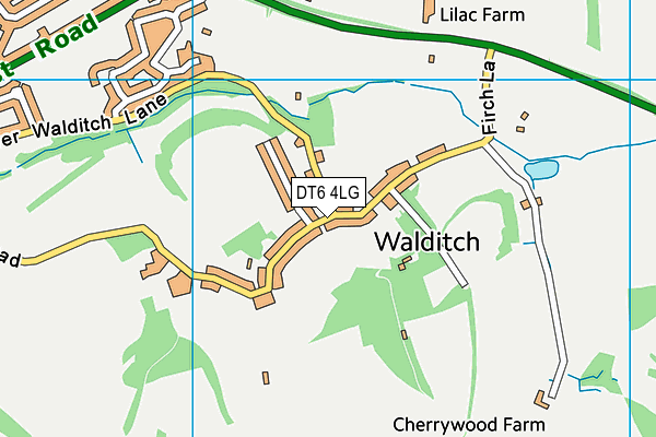 DT6 4LG map - OS VectorMap District (Ordnance Survey)