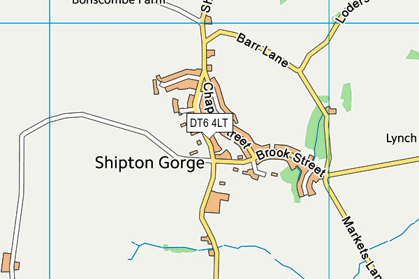 DT6 4LT map - OS VectorMap District (Ordnance Survey)
