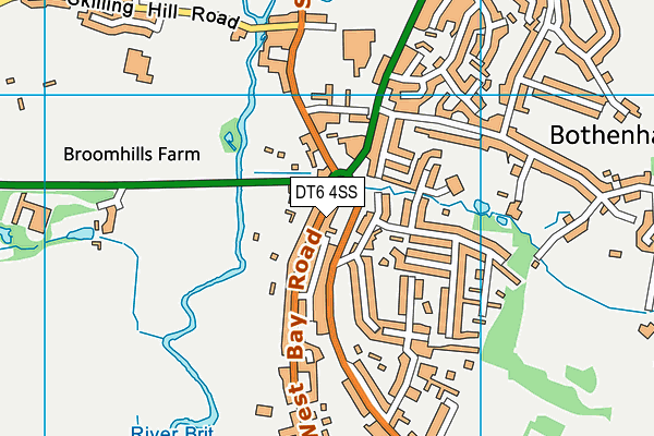 DT6 4SS map - OS VectorMap District (Ordnance Survey)
