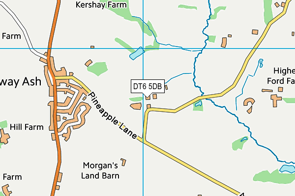 DT6 5DB map - OS VectorMap District (Ordnance Survey)