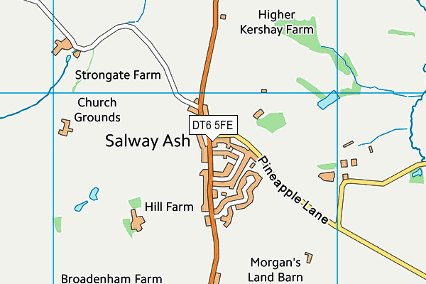 DT6 5FE map - OS VectorMap District (Ordnance Survey)