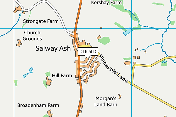 DT6 5LD map - OS VectorMap District (Ordnance Survey)