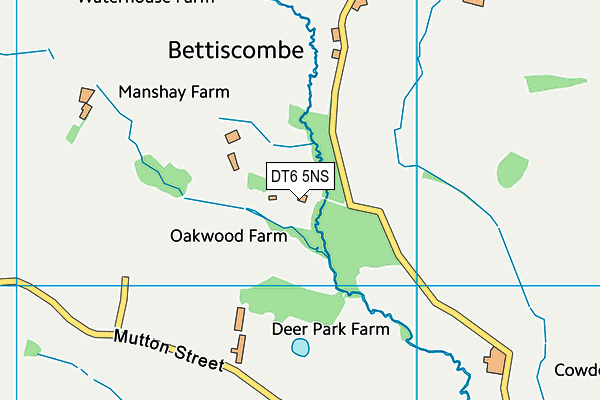 DT6 5NS map - OS VectorMap District (Ordnance Survey)