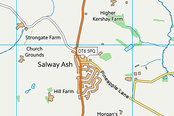 DT6 5PQ map - OS VectorMap District (Ordnance Survey)