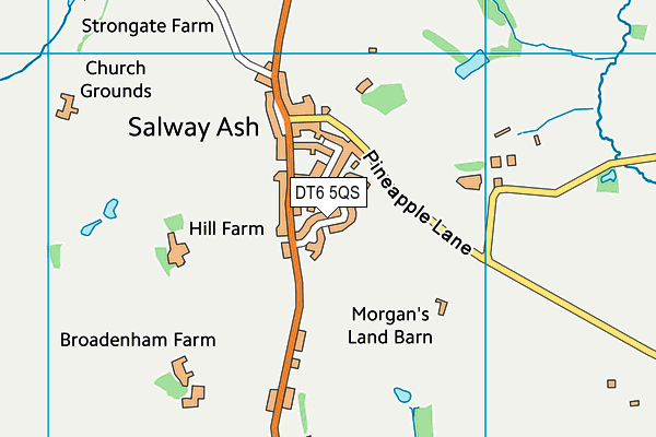 Salway Ash Playing Field map (DT6 5QS) - OS VectorMap District (Ordnance Survey)