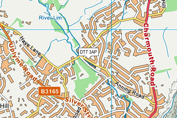 DT7 3AP map - OS VectorMap District (Ordnance Survey)